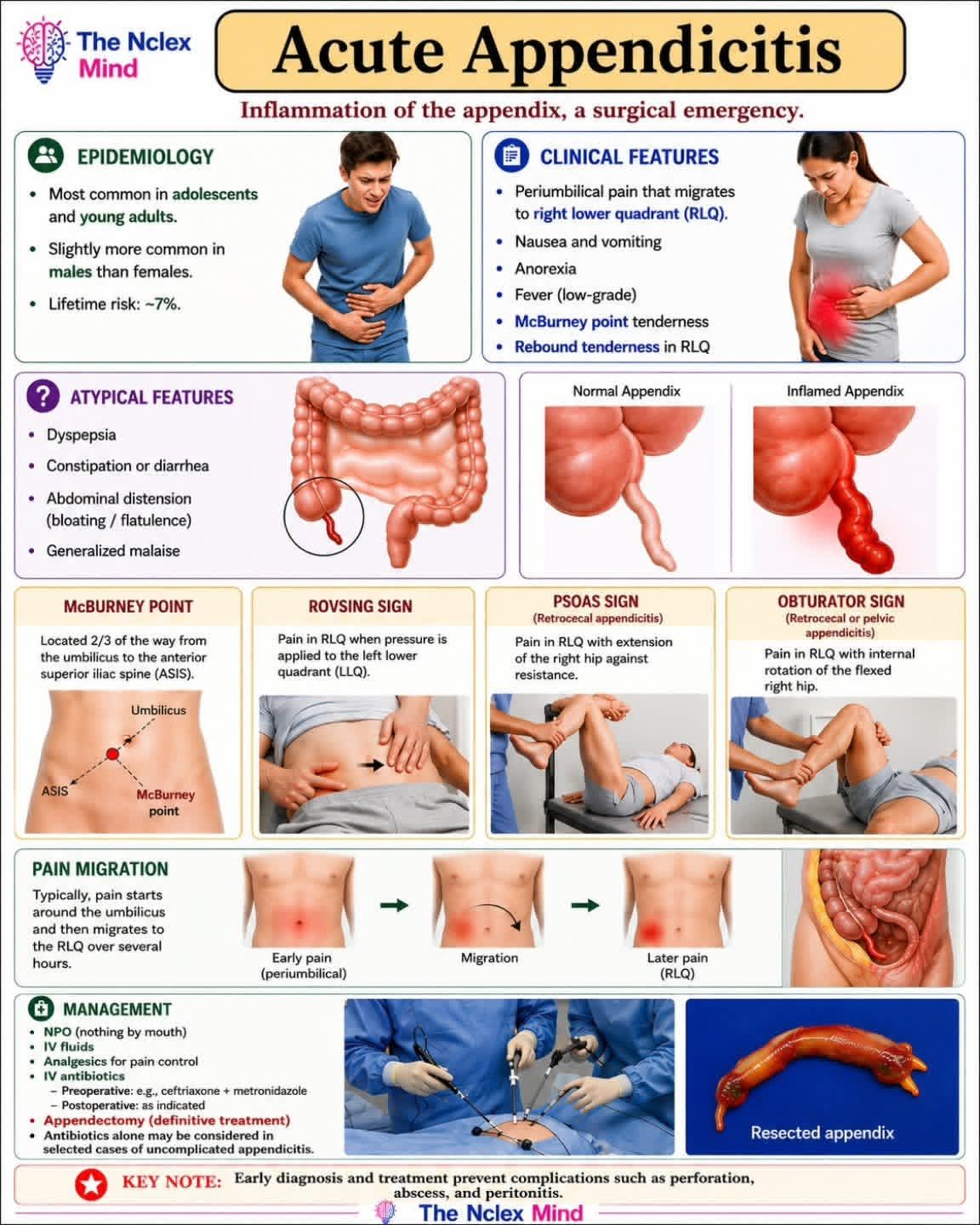 klow rdw appendicitis Acute symptoms and signs SLC25A39 links mitochondrial GSH InStock Size:135g x2