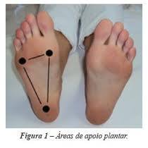 Evolution Pilates Clássico - Fig. 3 - Primeiro meta, quinto meta e ...
