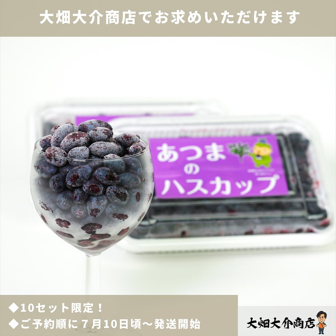北海道厚真町 山崎さんのハスカップ(冷凍) 限定10セット/ ご予約受付中