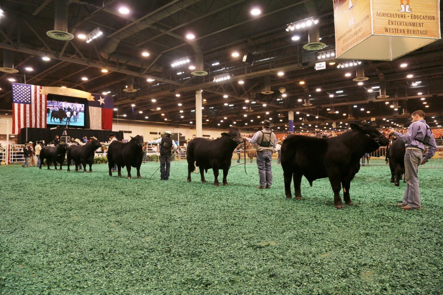 Roop Cattle Company | Rising Star TX