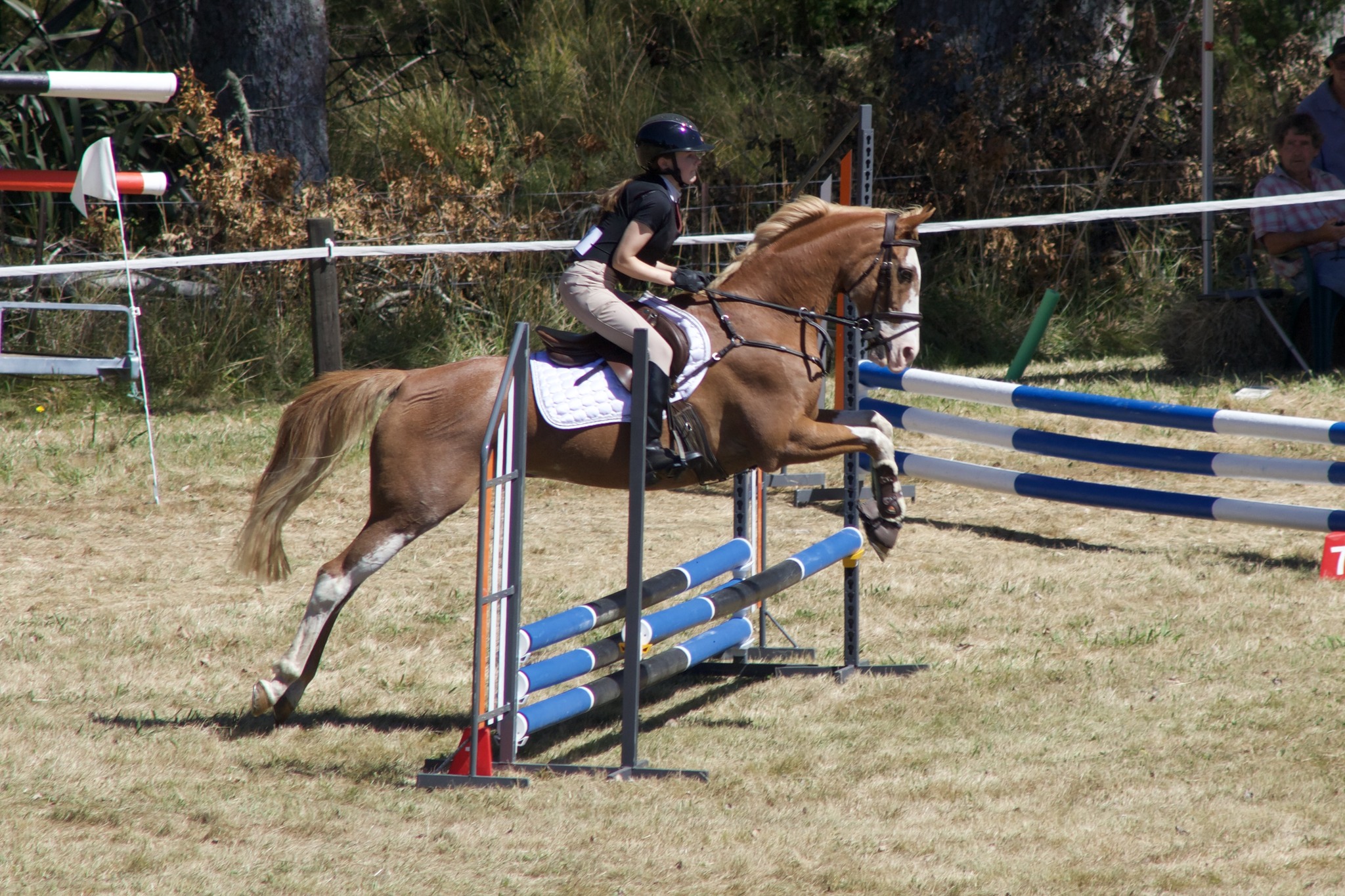Rai Valley A&P Show | Rai Valley