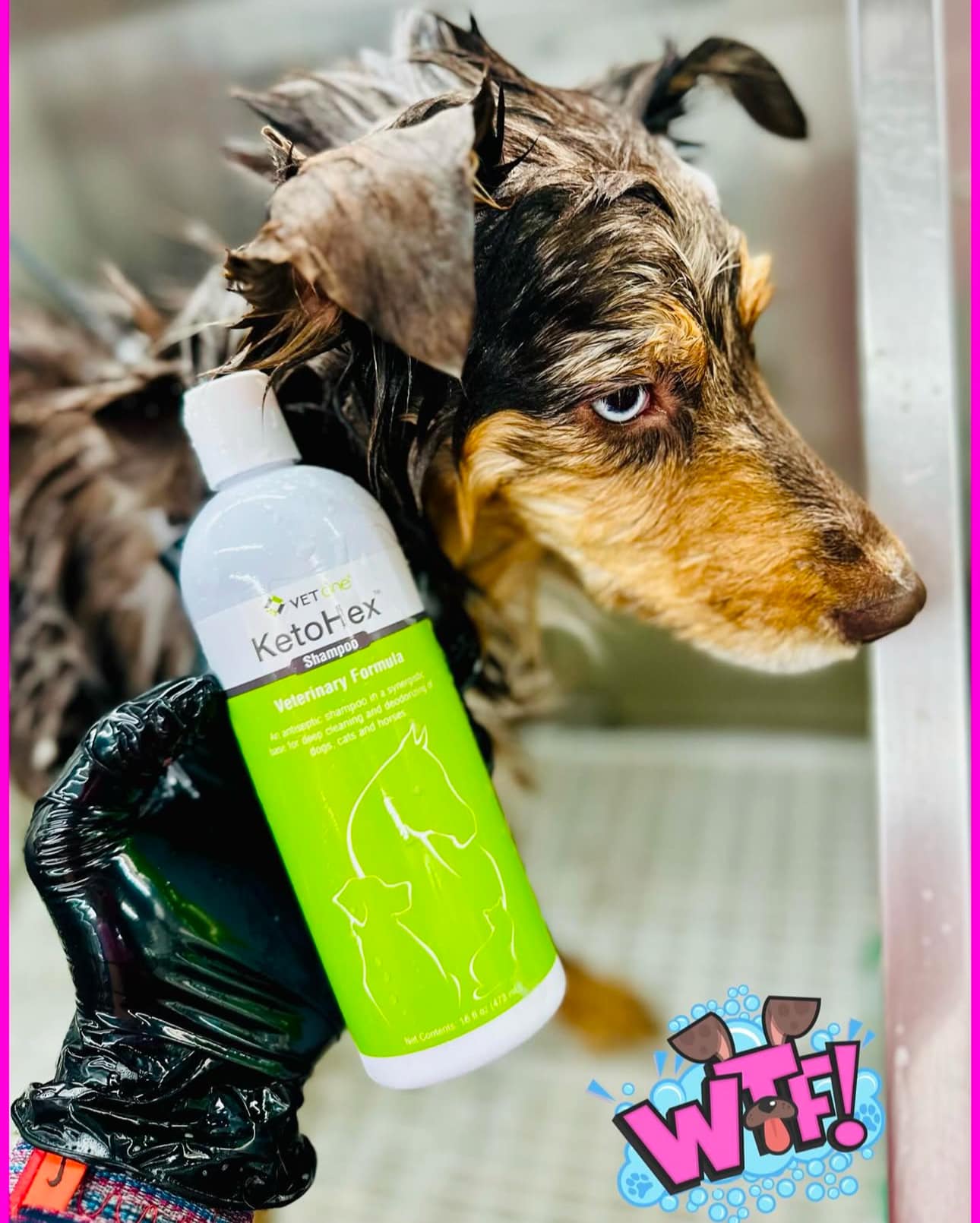Pet Dry Shampoo Cat Dog Bath Dry Cleaning Foam Body Wash No-Rinse Deodorizing Pet Supplies(New