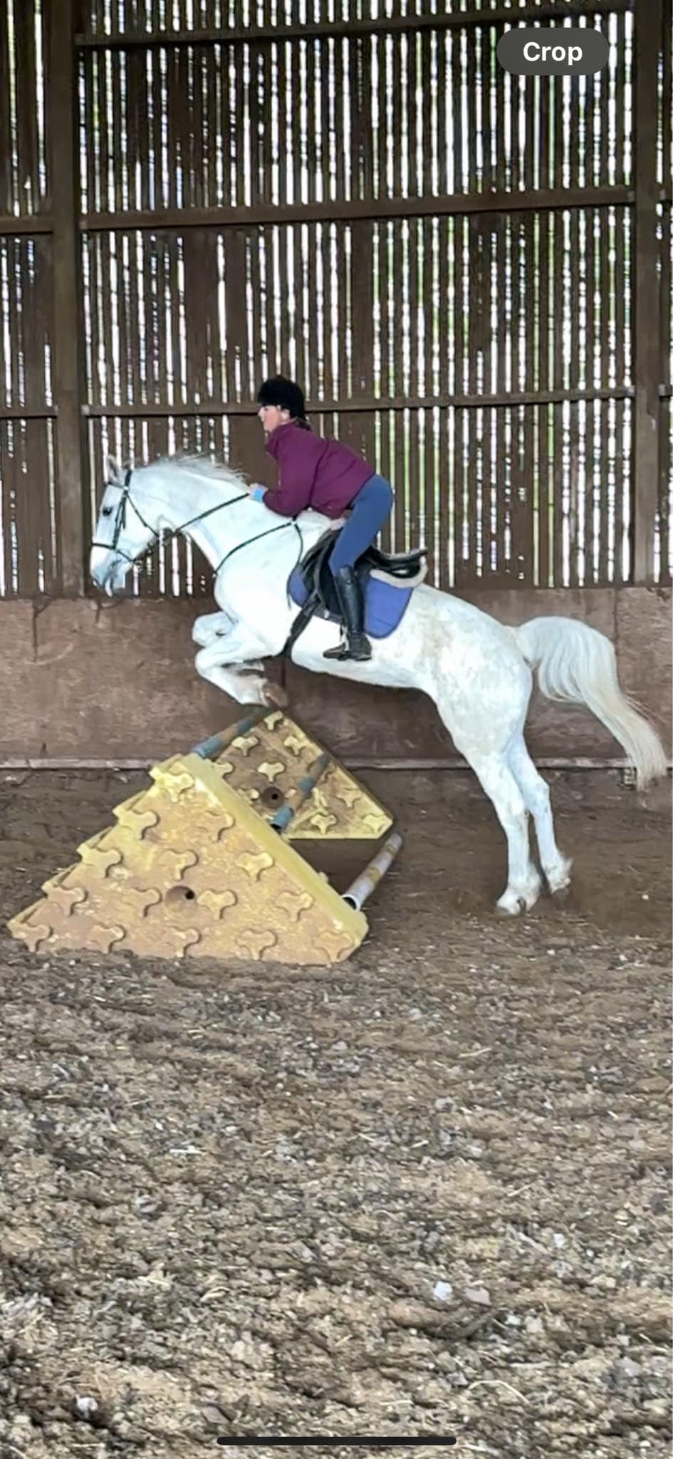 Timbertops Animal Agency & Equestrian Centre | Pontefract