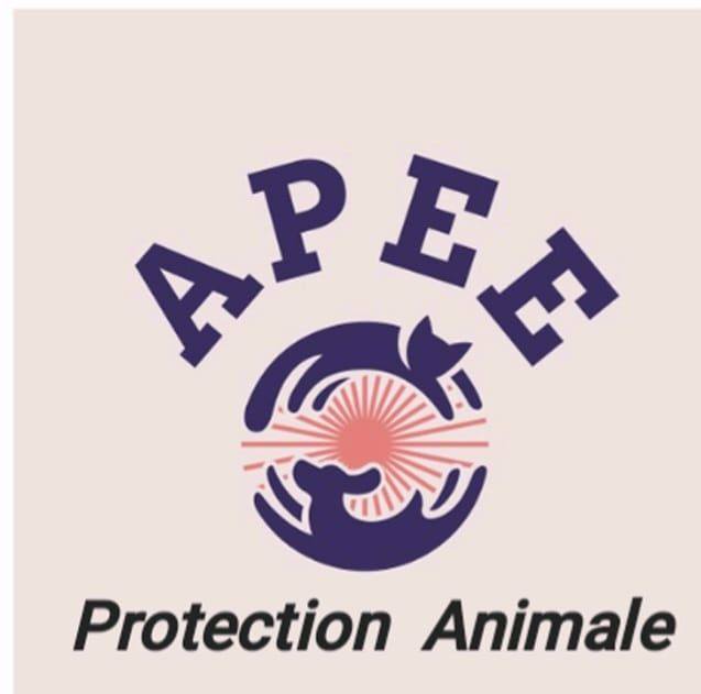 APEE 54 57 - A l'adoption : Elsa et Titi (frère et sœur... | Facebook