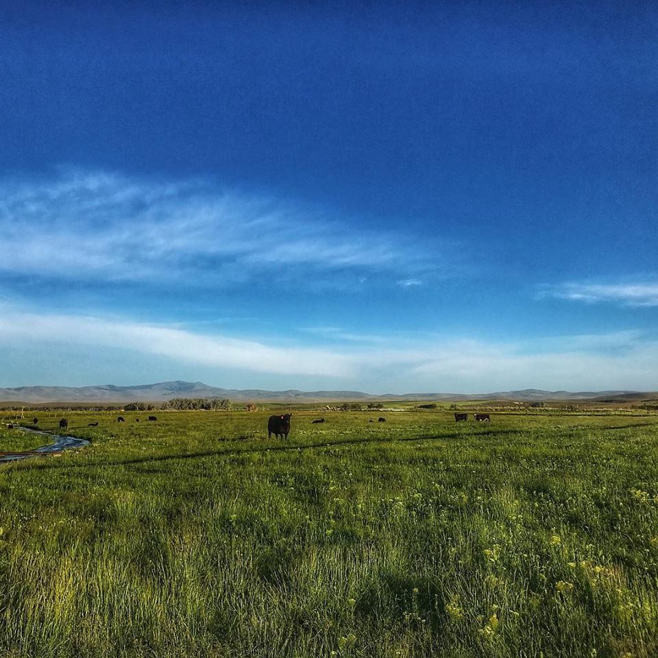Dunlap and Sons Ranch | Baker City OR
