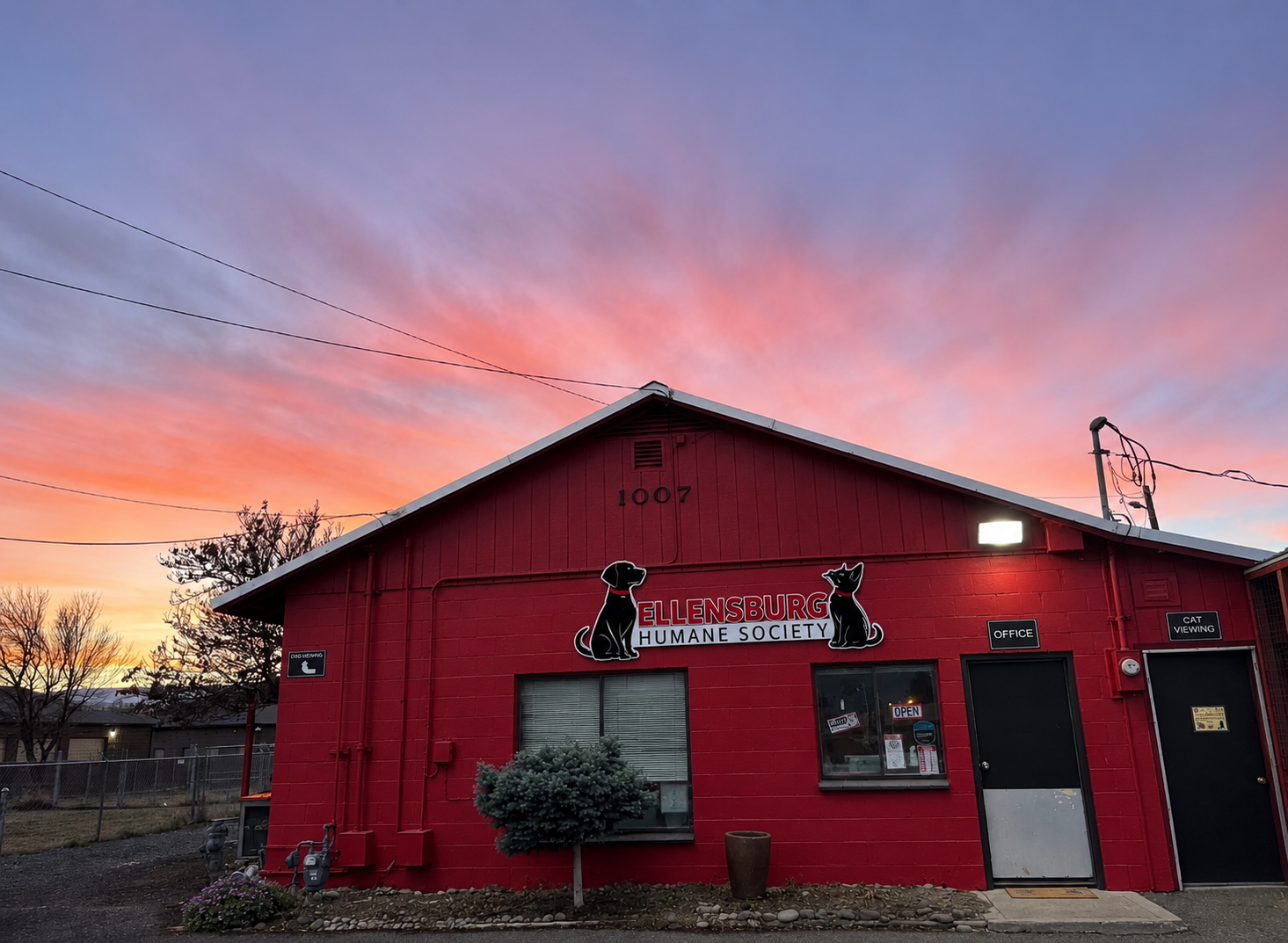 Ellensburg Humane Society | Ellensburg WA