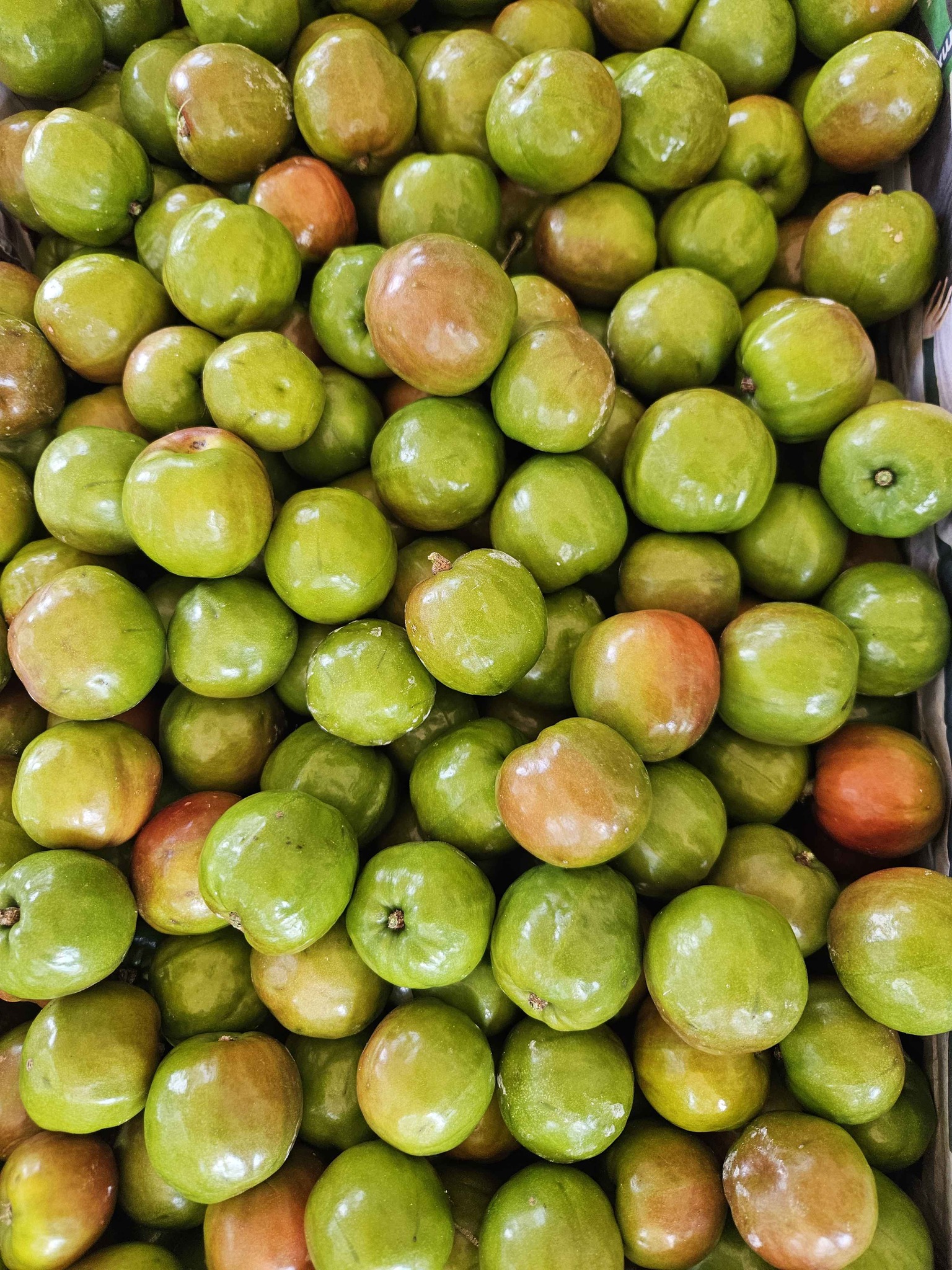 Jocotes o ciruelas - Food - Tuxtla Gutiérrez, Chiapas | Facebook ...