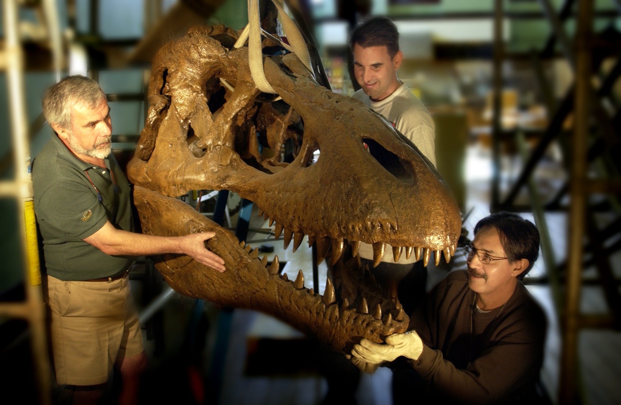 Australian - Throwback Thursday to 2003 when our T-rex was being ...
