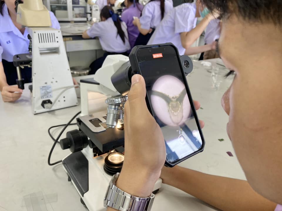 Bio หยาบ - 🔥 แจกฟรี ️Flowchart Direction LAB ไฟล์... | Facebook