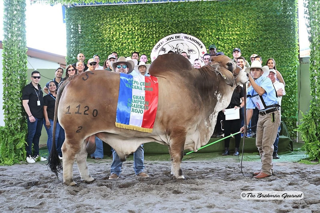 Santa Elena Ranch | Madisonville TX