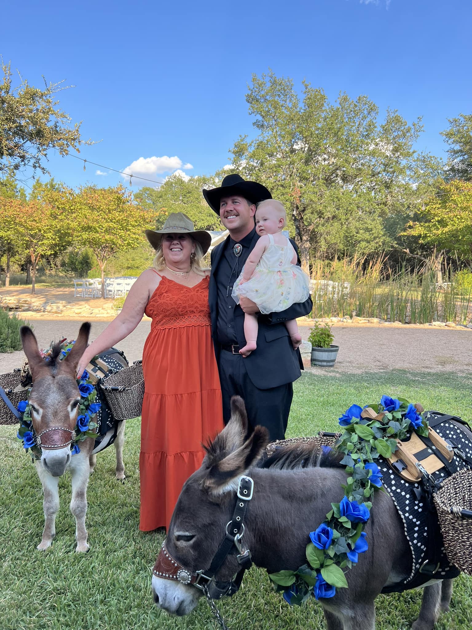 Cross T Ranch Longhorns | Bandera TX
