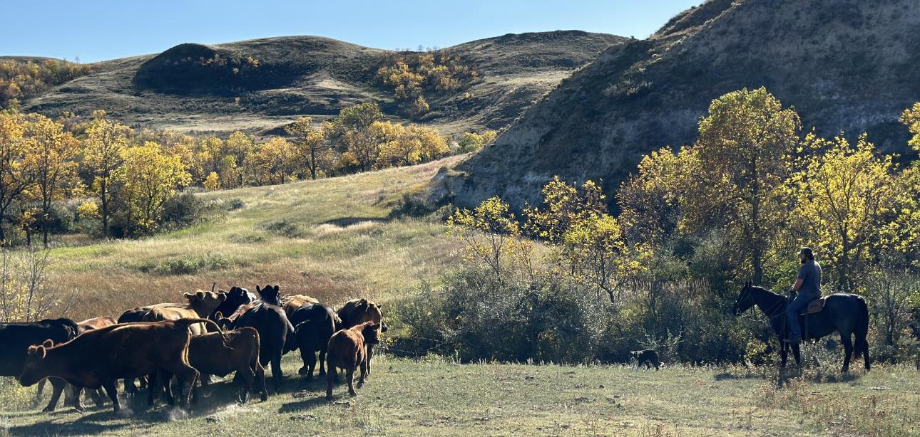 MR Ranch | Reserve MT
