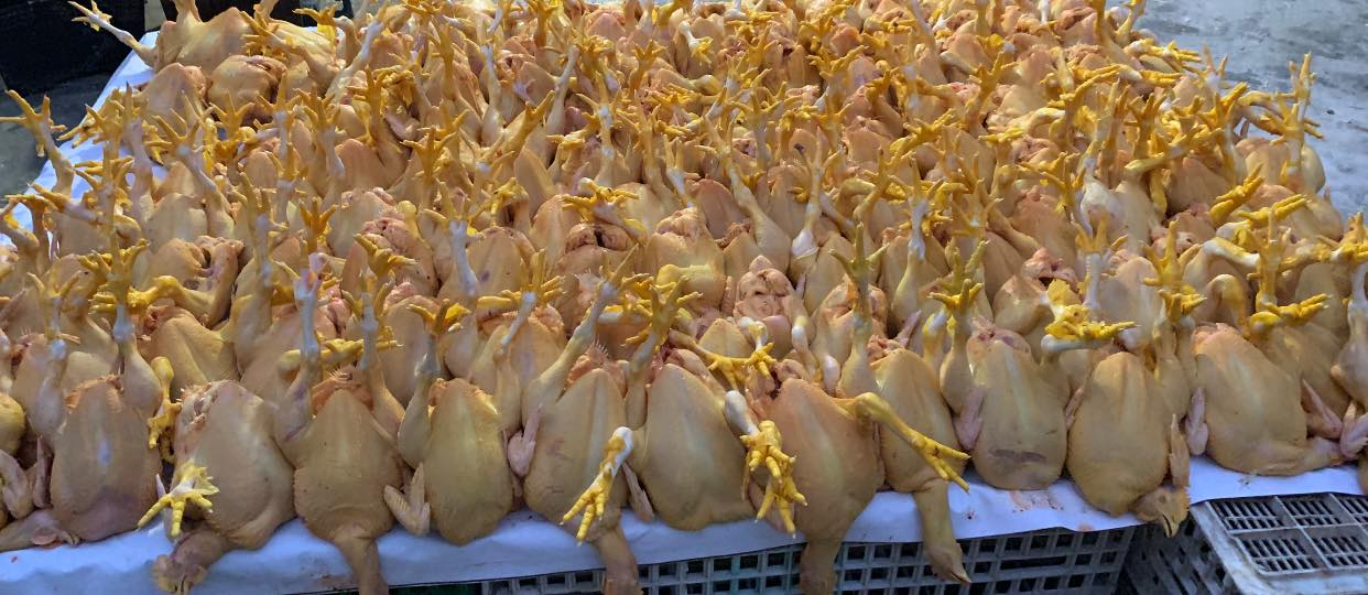 Mi pollo | Poza Rica