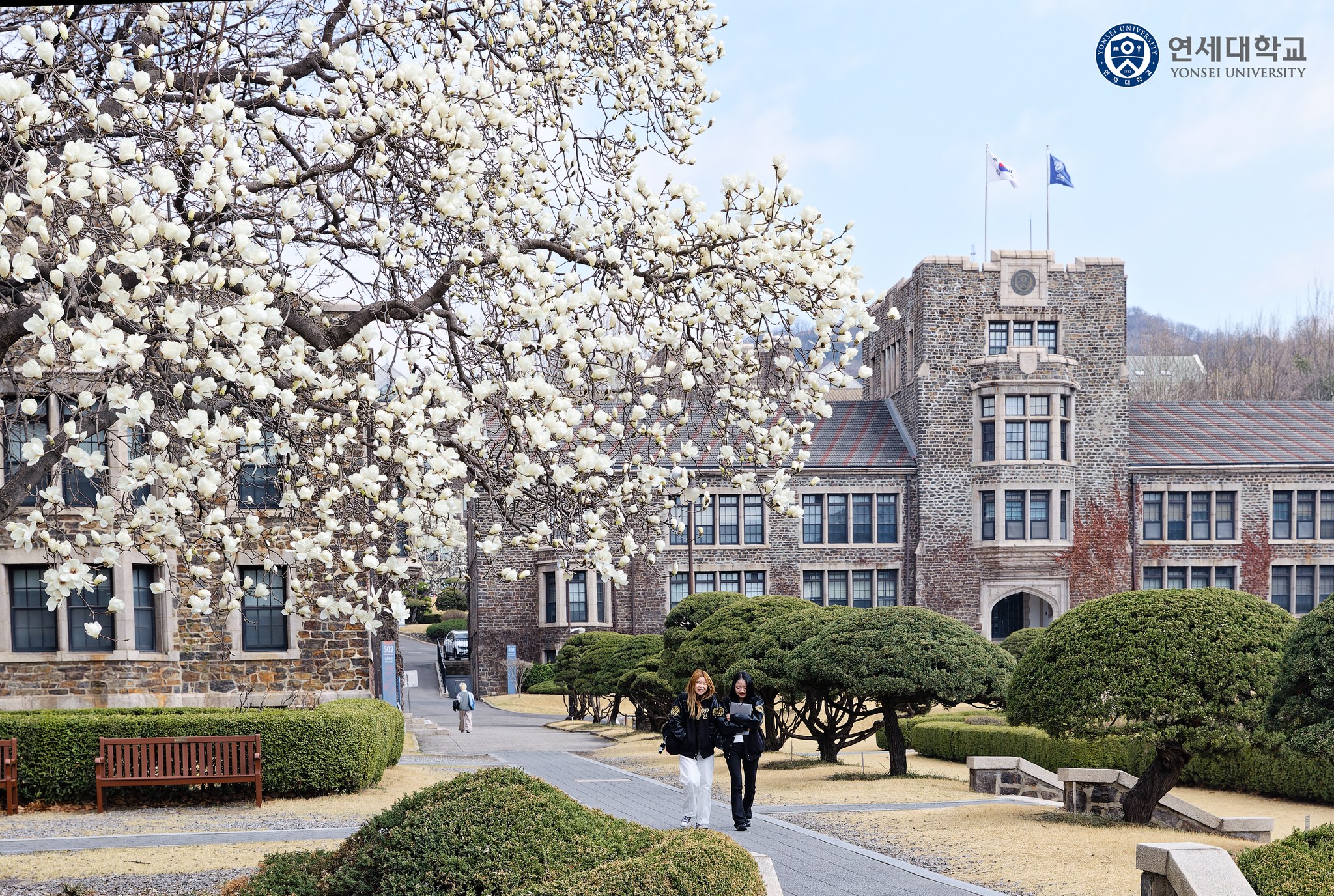 연세대학교 - Yonsei University - 인생샷…어디까지 찍어봤니? #연세대 캠퍼스 속 나만의 인생샷 스팟은? 댓글로 ...