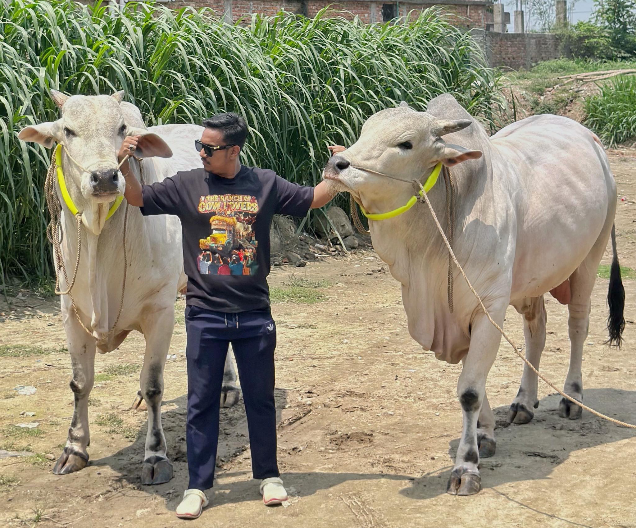 morning food | The Cattle Classic