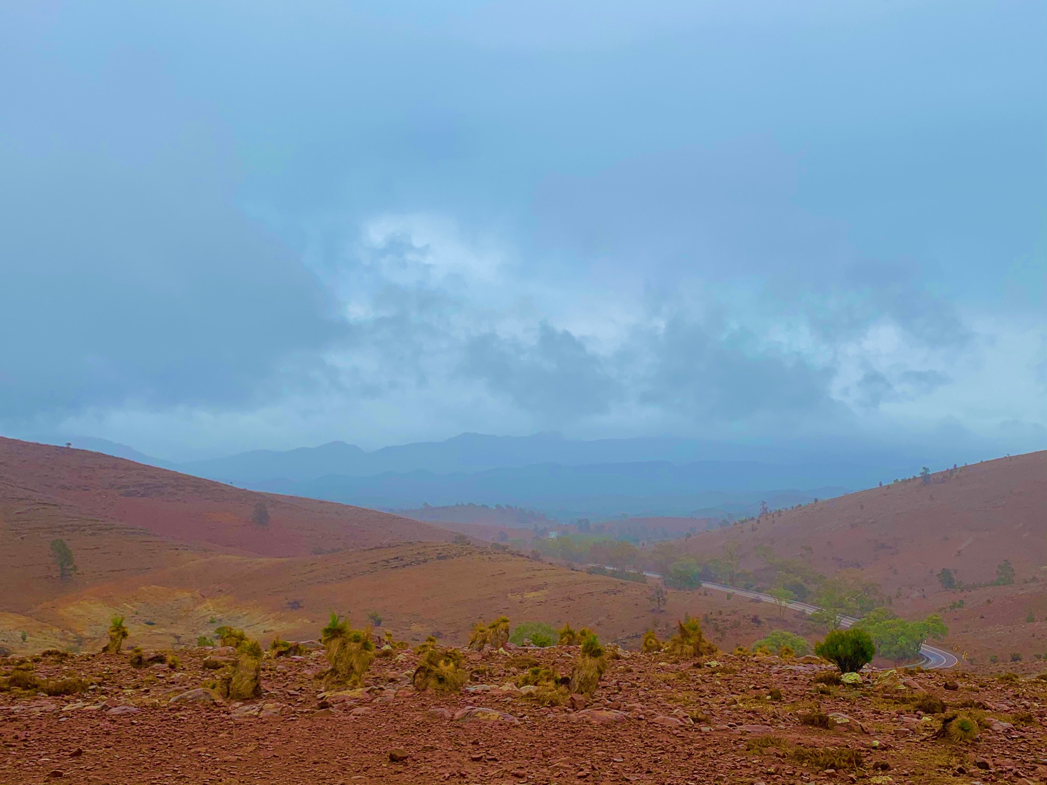 IGA - Yesterday the Flinders Ranges had 10.5ml of rain which was 90% of ...
