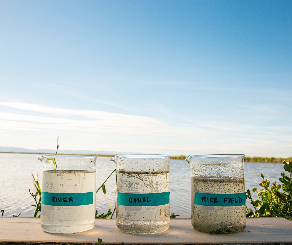 California Rice Commission | Sacramento CA