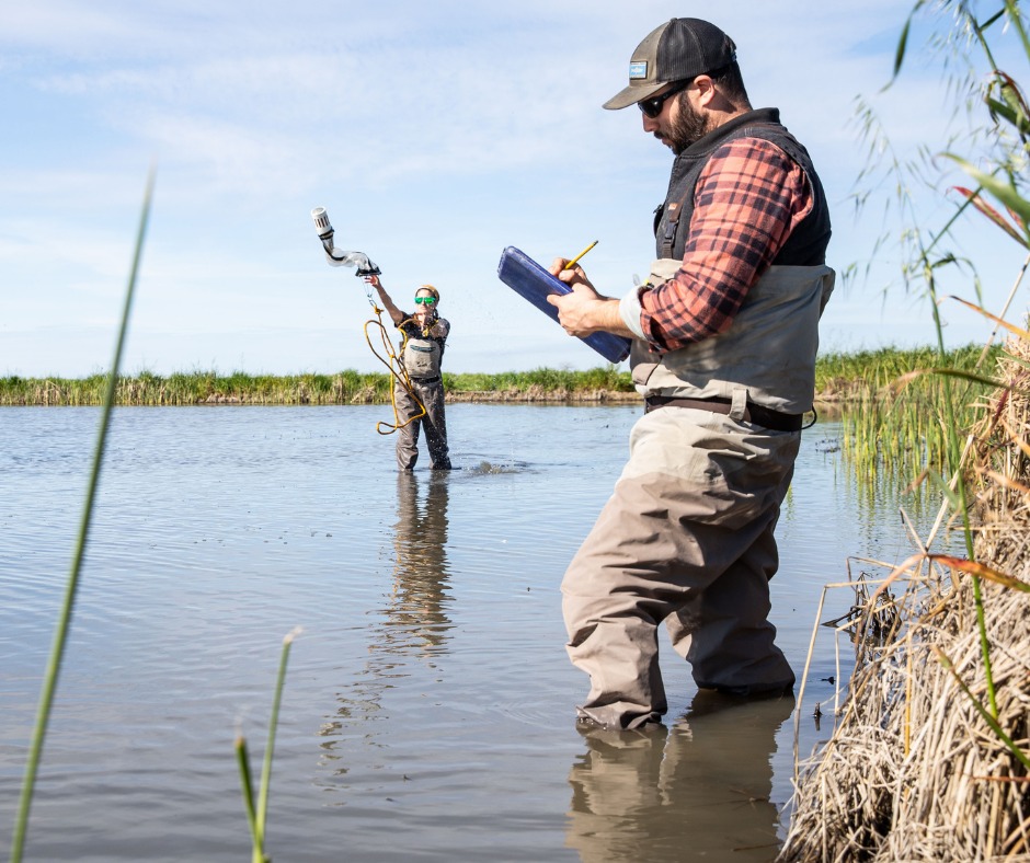 California Rice Commission | Sacramento CA
