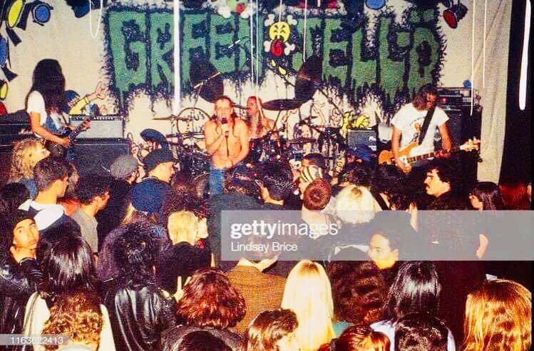 Green Jello returns to the WAGG on December 19th!!! #littlepig
