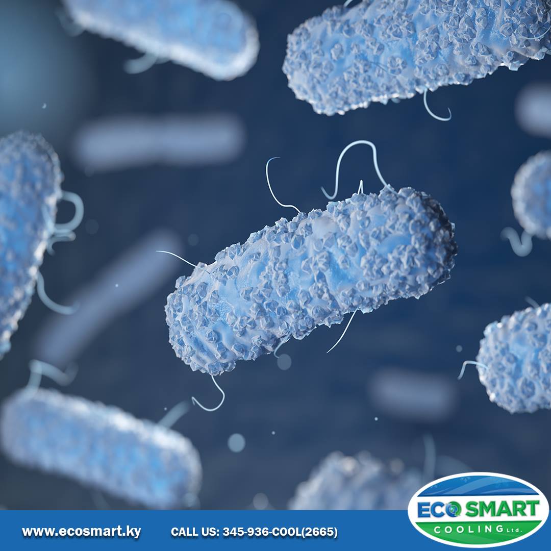 EcoSmart - Yikes, this does not look good. However, the chances are ...