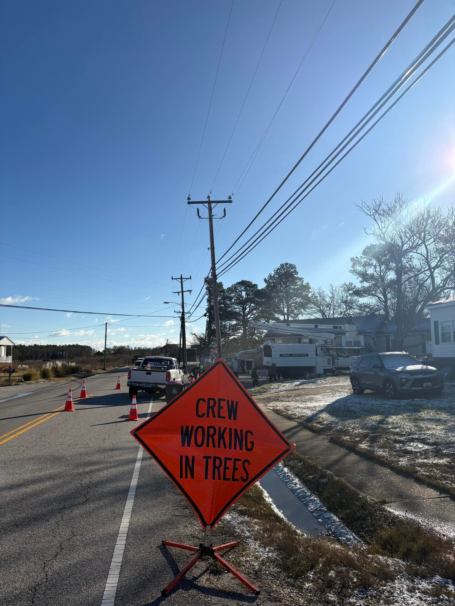 Our crews are out completing emergency... - The Tree Masters | Facebook