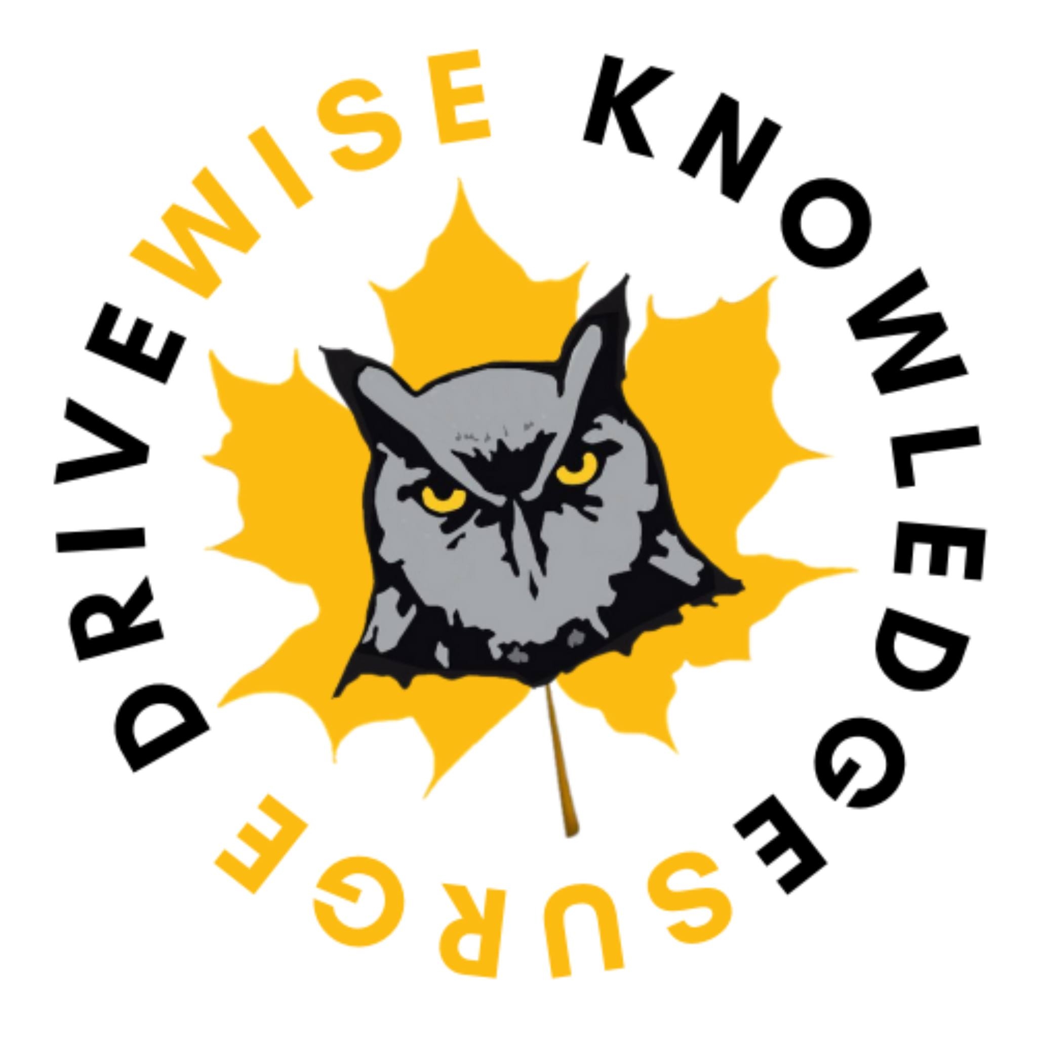 Wrong Answers Only: What does... - KnowledgeSurge Institute | Facebook