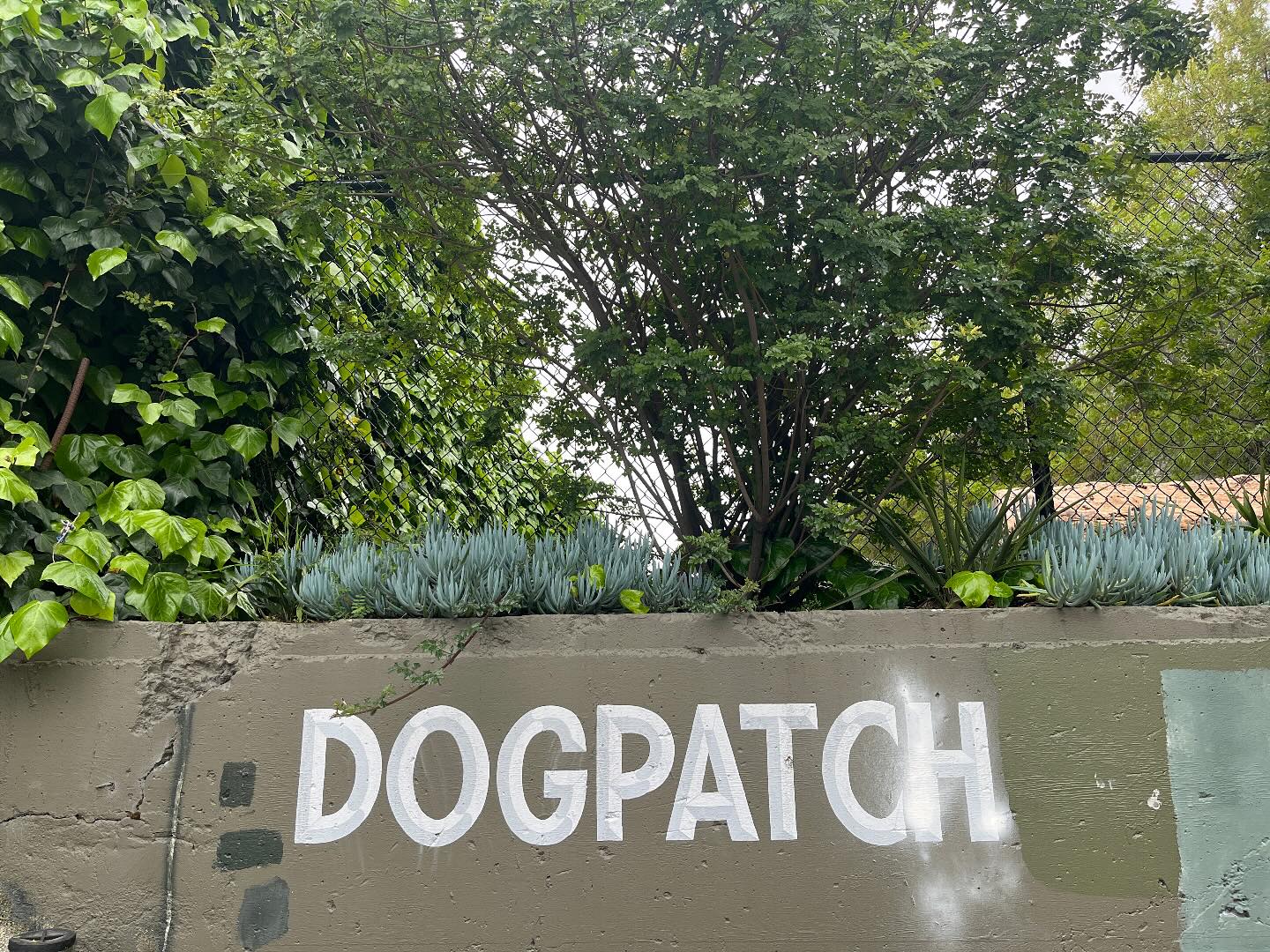 Dogpatch Neighborhood Association