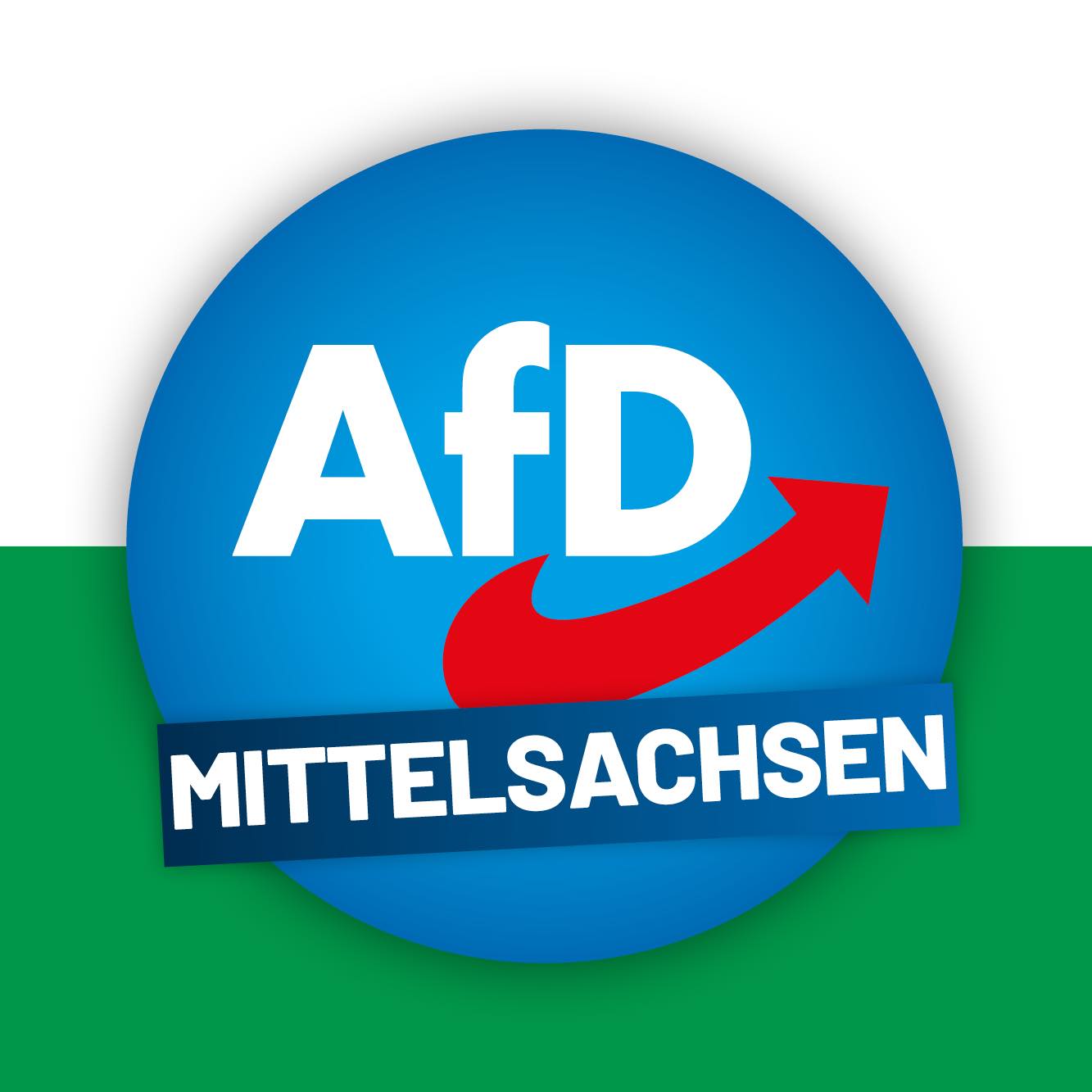 AfD Mittelsachsen