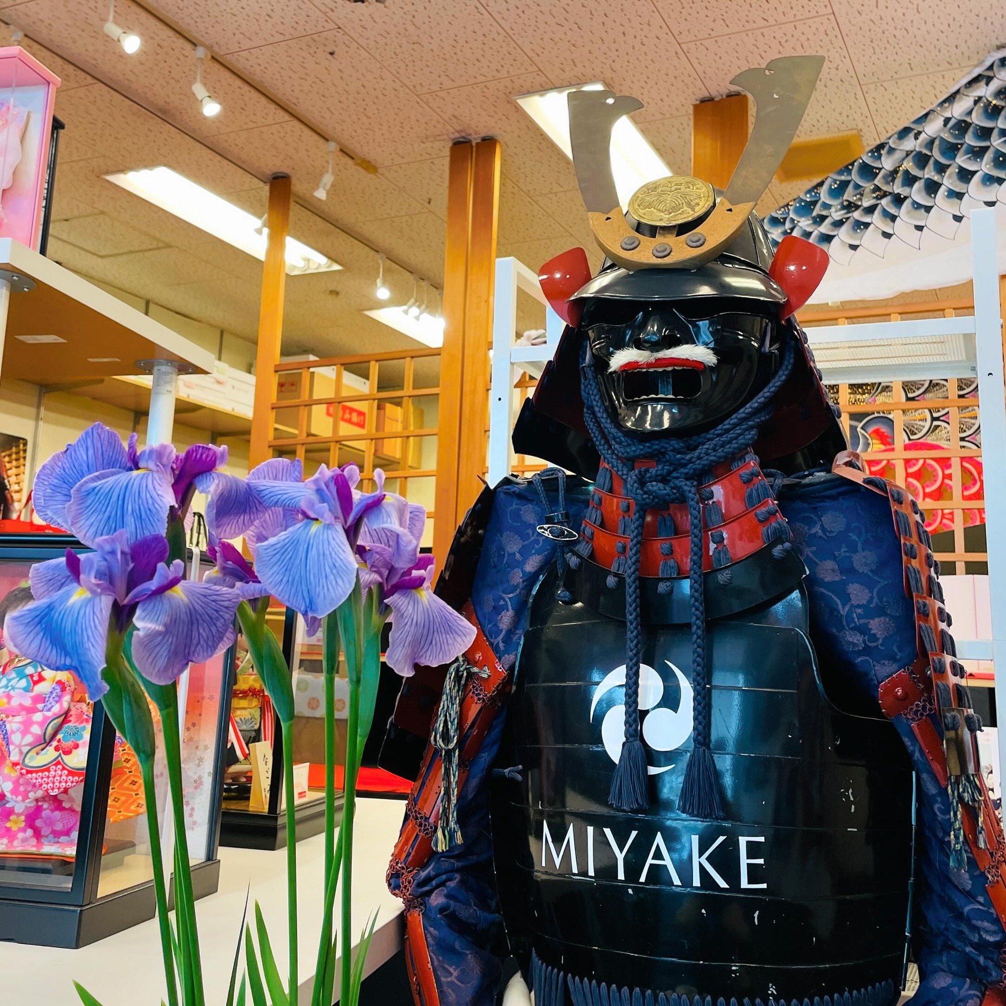 MIYAKE | Uji-shi Kyoto