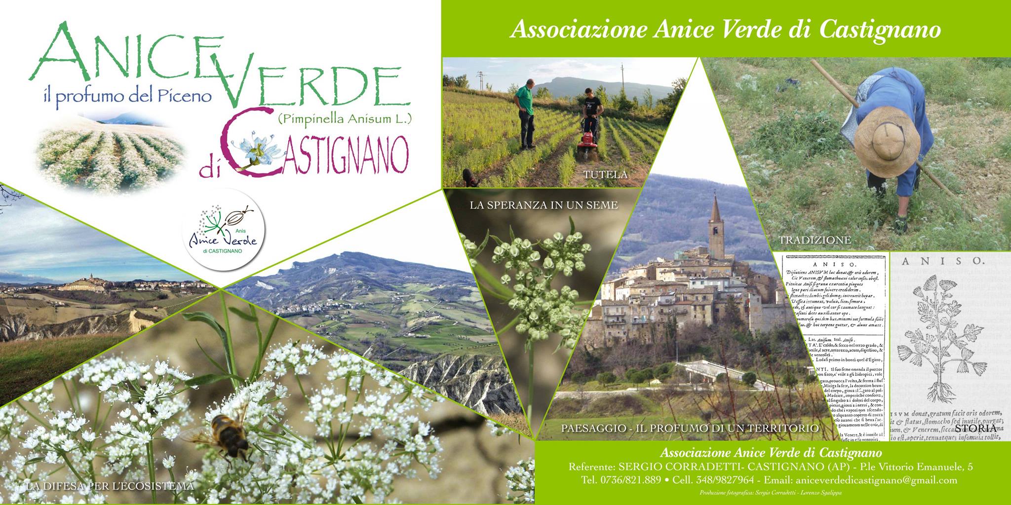 Comune Castignano added a new photo. - Comune Castignano