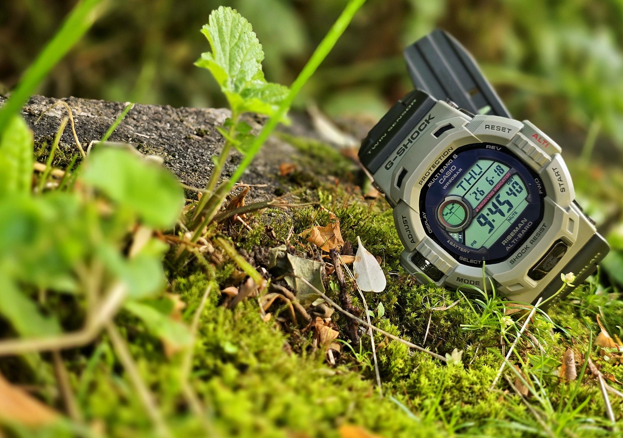 Riseman gw-9200erj-3 best watch