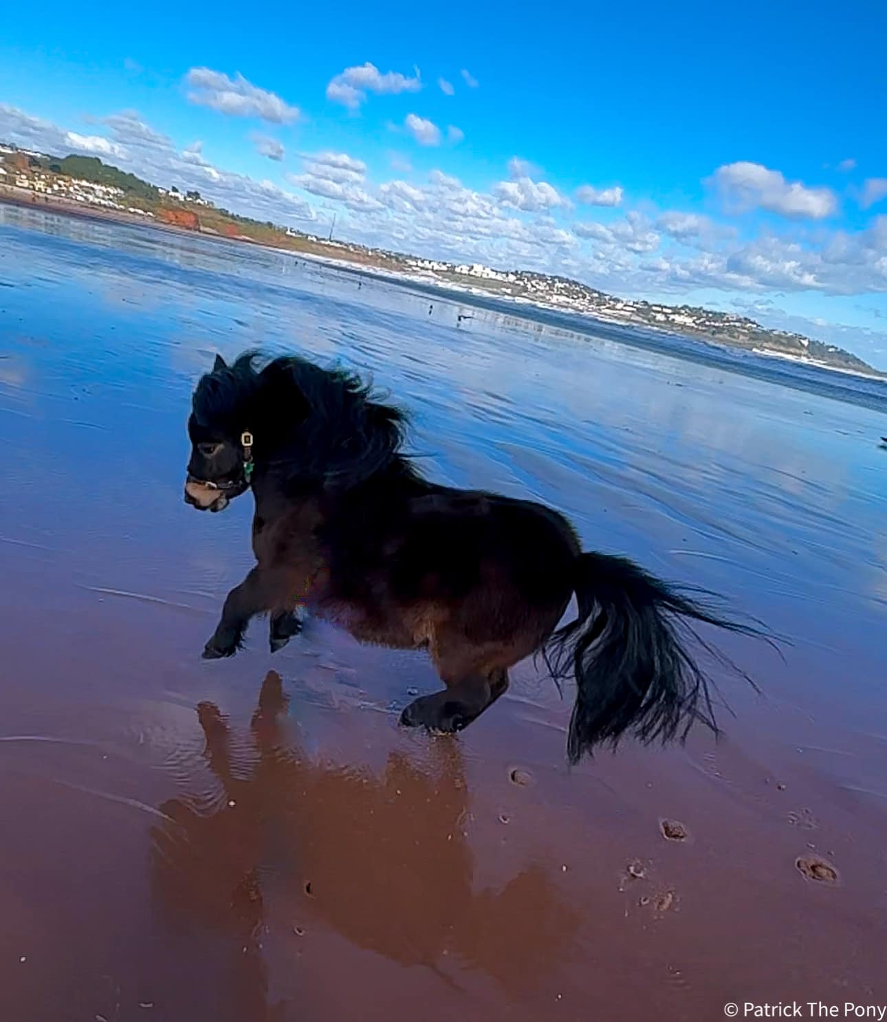 The Adventures - ️ Windy and frisky ️ | Facebook