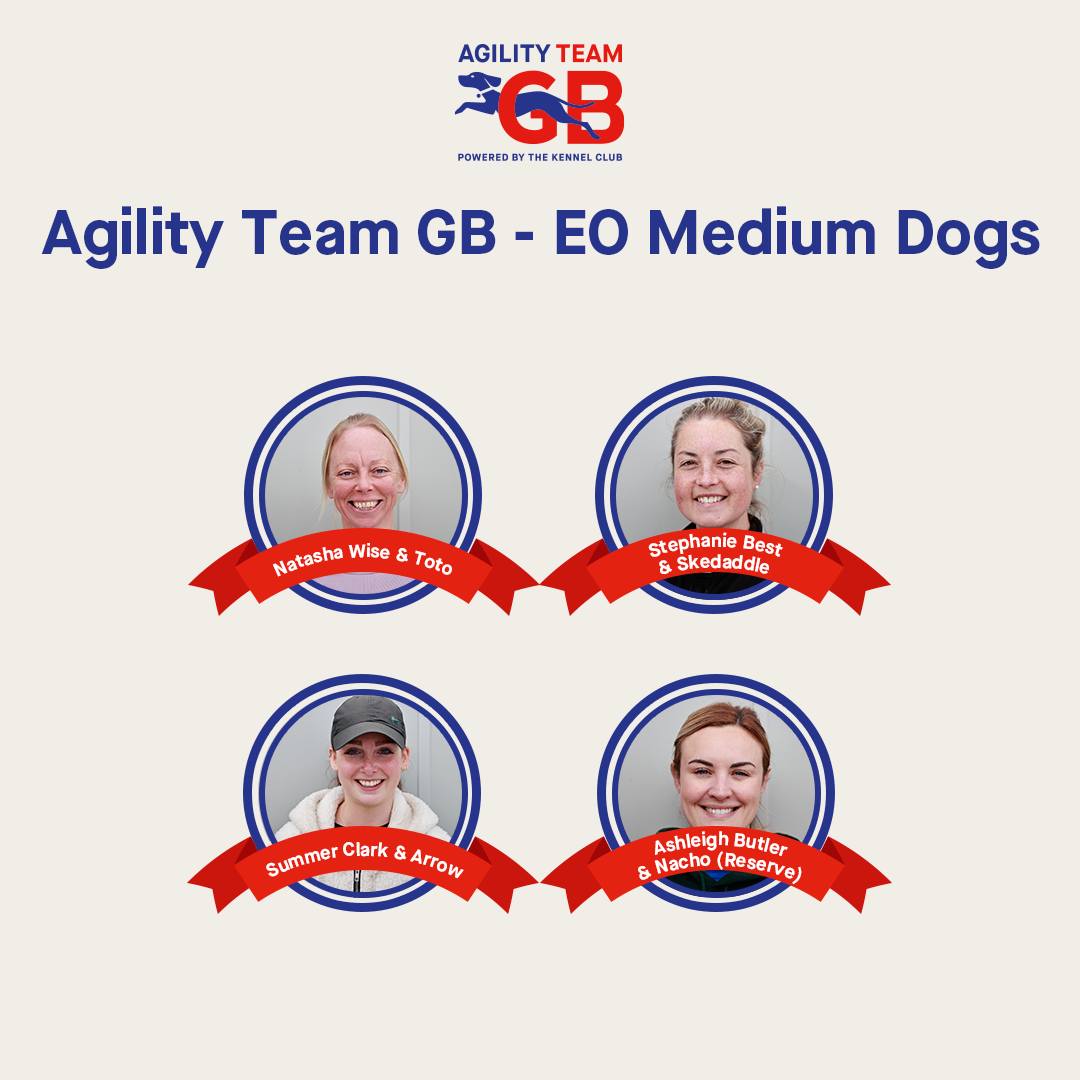 Agility Ability | Wymondham