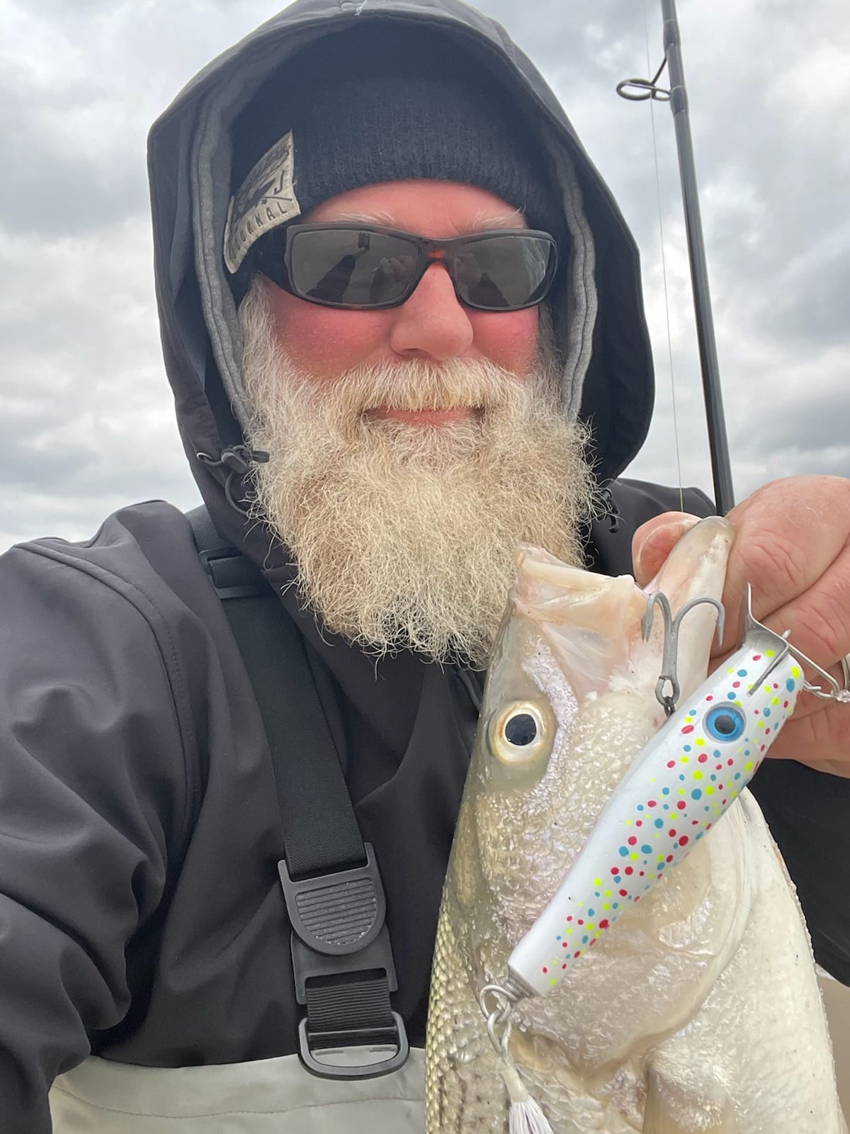 cheeky fly reel warranty Burst Lucky / 350 Surface Bait anywhere reliability Okuma Ceymar A Spinning Lure Colour:Black Widow