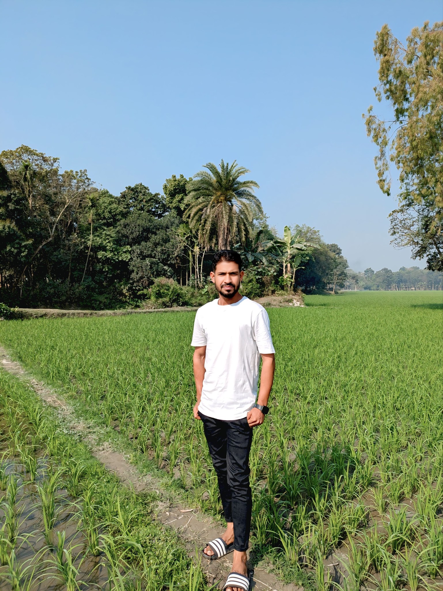 Mamun Vai
