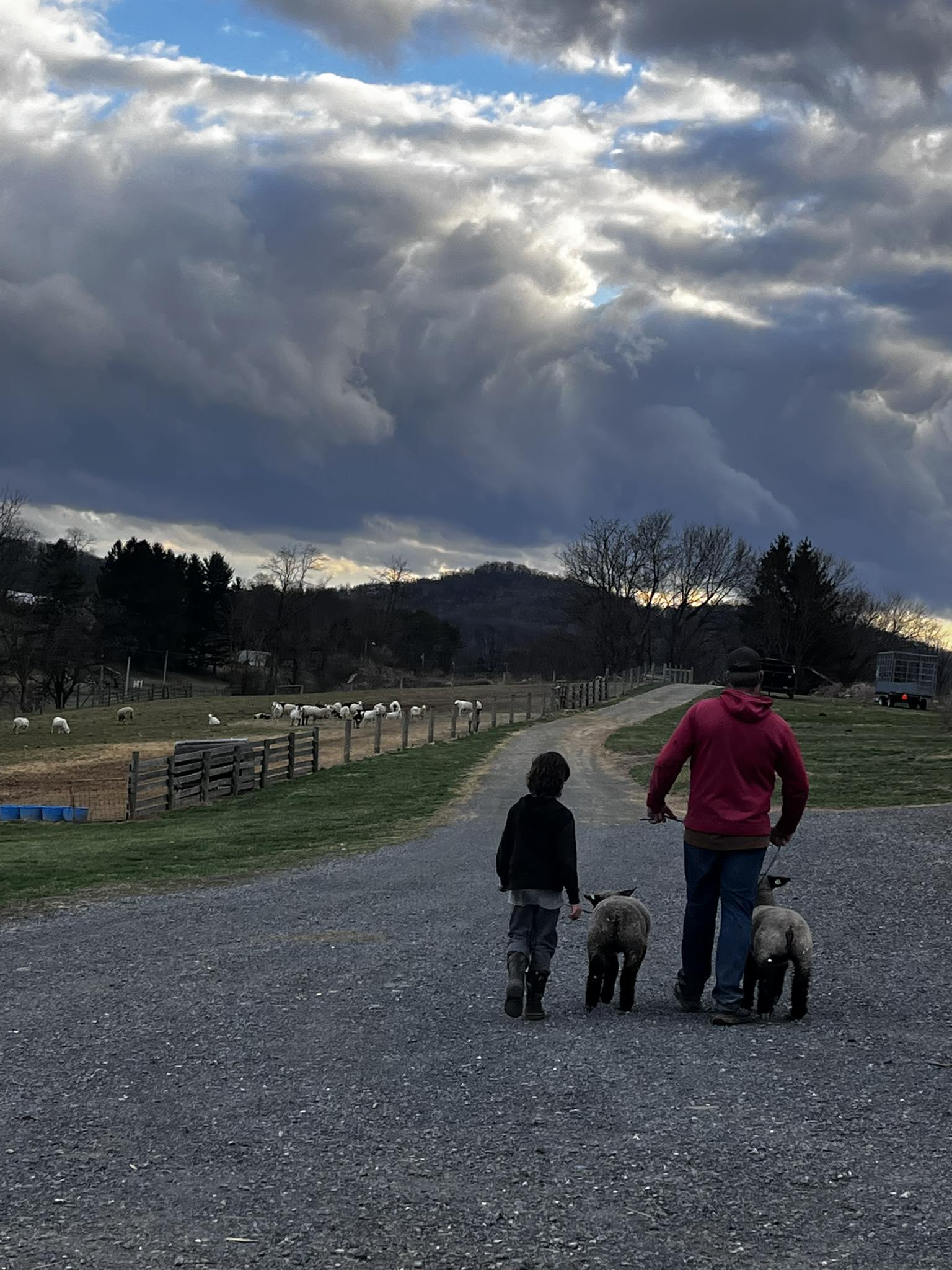 Walnut Ridge Farm | Flintstone MD