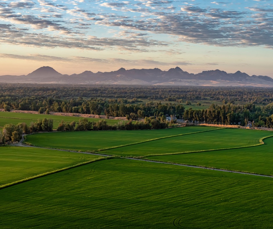 California Rice Commission | Sacramento CA