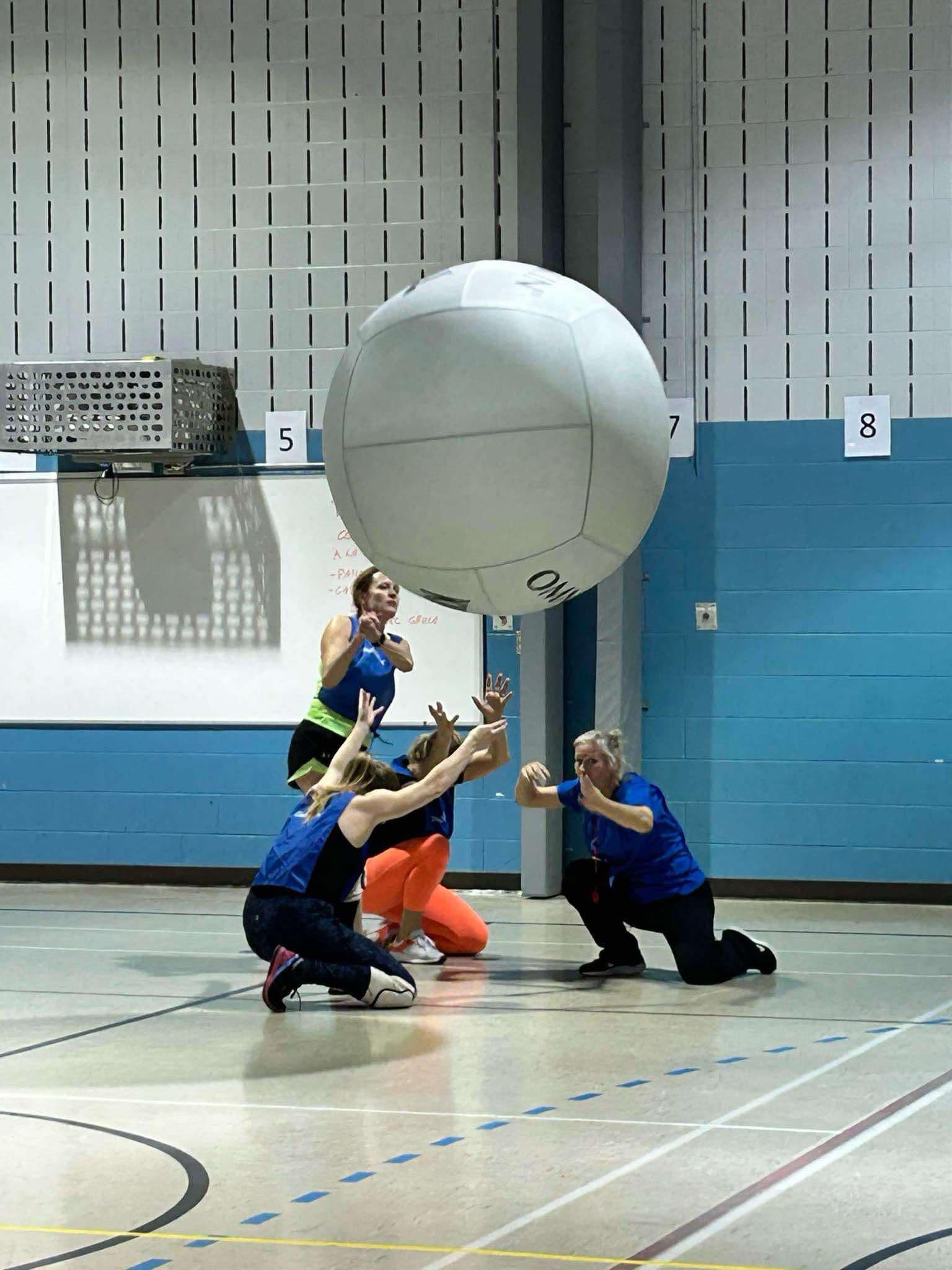 Association régionale de Kin-Ball de la Rive-Sud | Longueuil QC