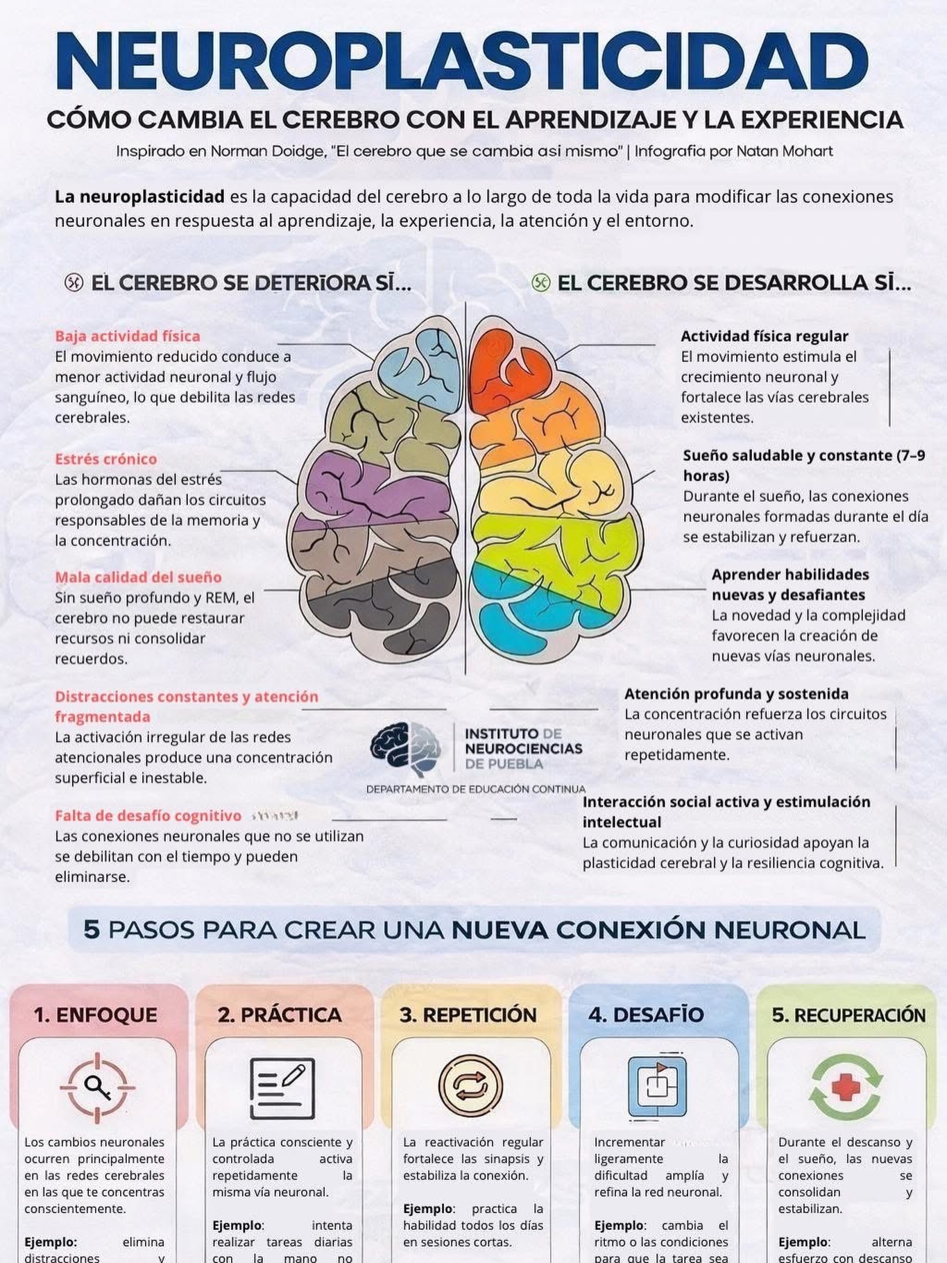 Instituto de... - Instituto de Neurociencias de Puebla