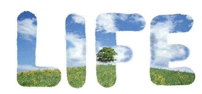 Do you want to save yourself hundreds of dollars a year? Cheaper Quotes ...