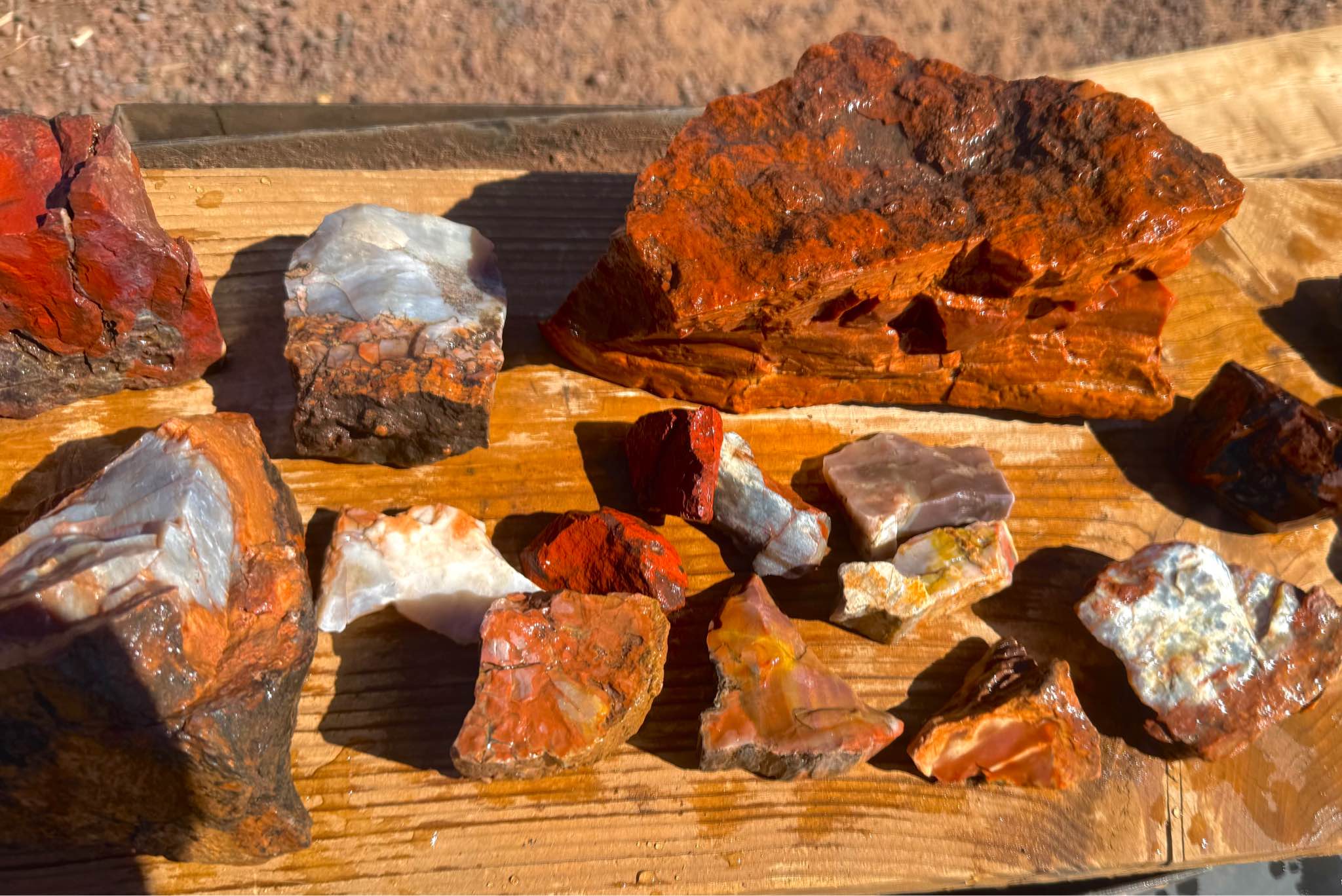 Large Mixed Rock collection Petrified wood, Obsidian, & Jasper ...