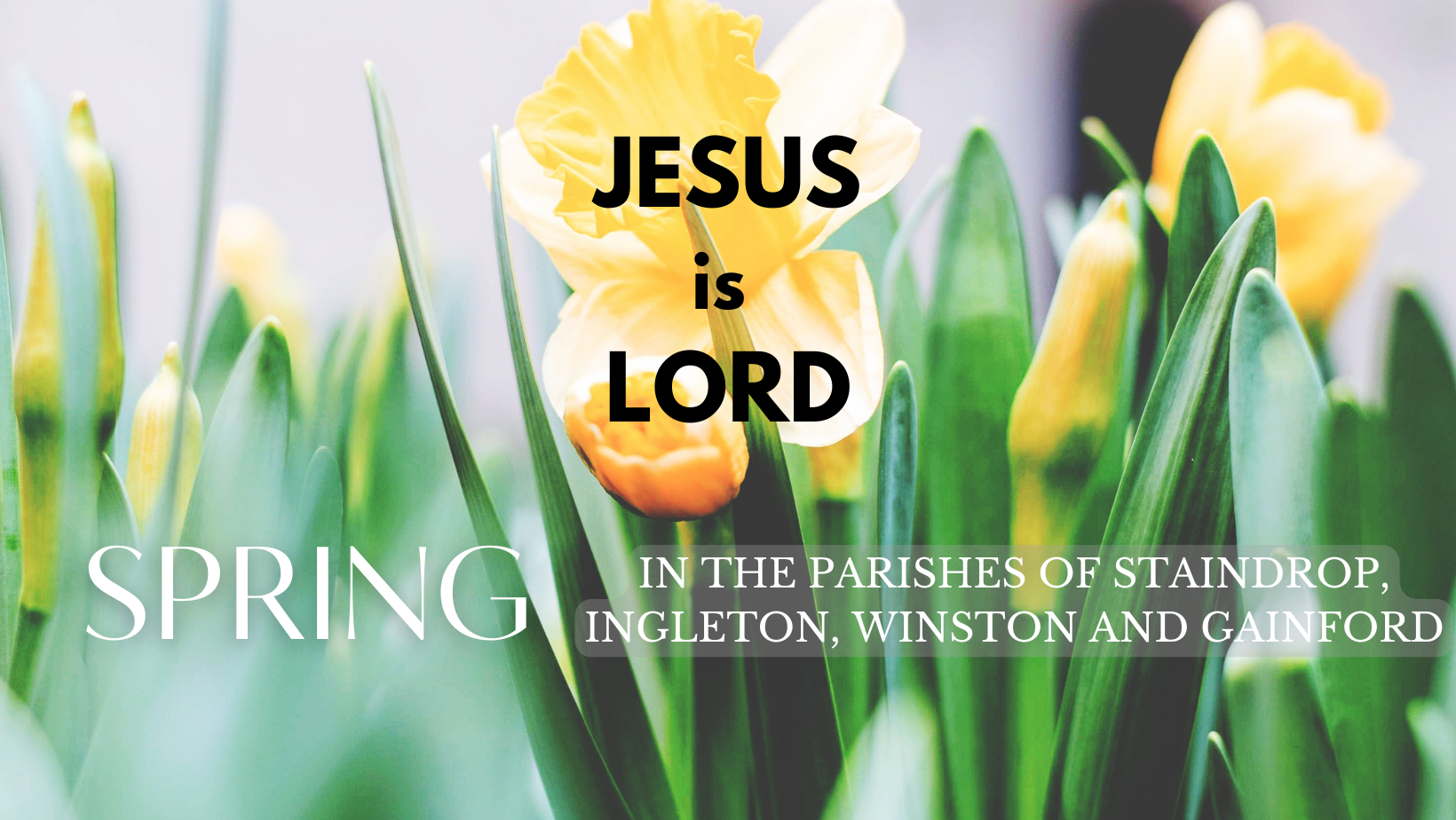 Worship Service, Palm Sunday, April 13, 2025 | 