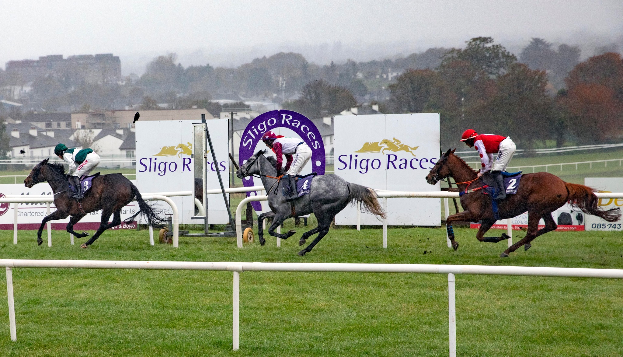 Sligo Races | Sligo