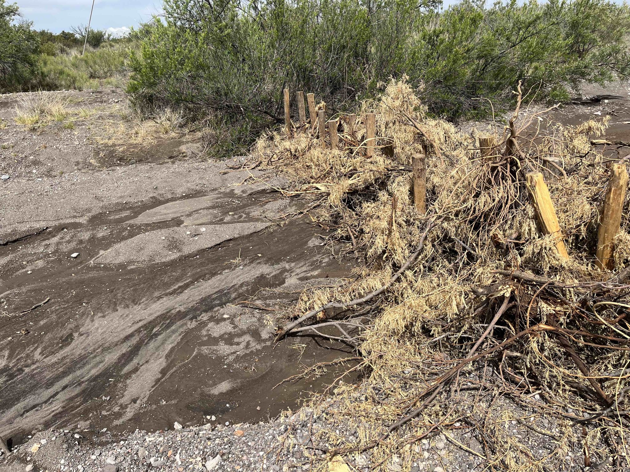 We are thrilled to showcase a BDA (beaver dam analog) weir in action on ...