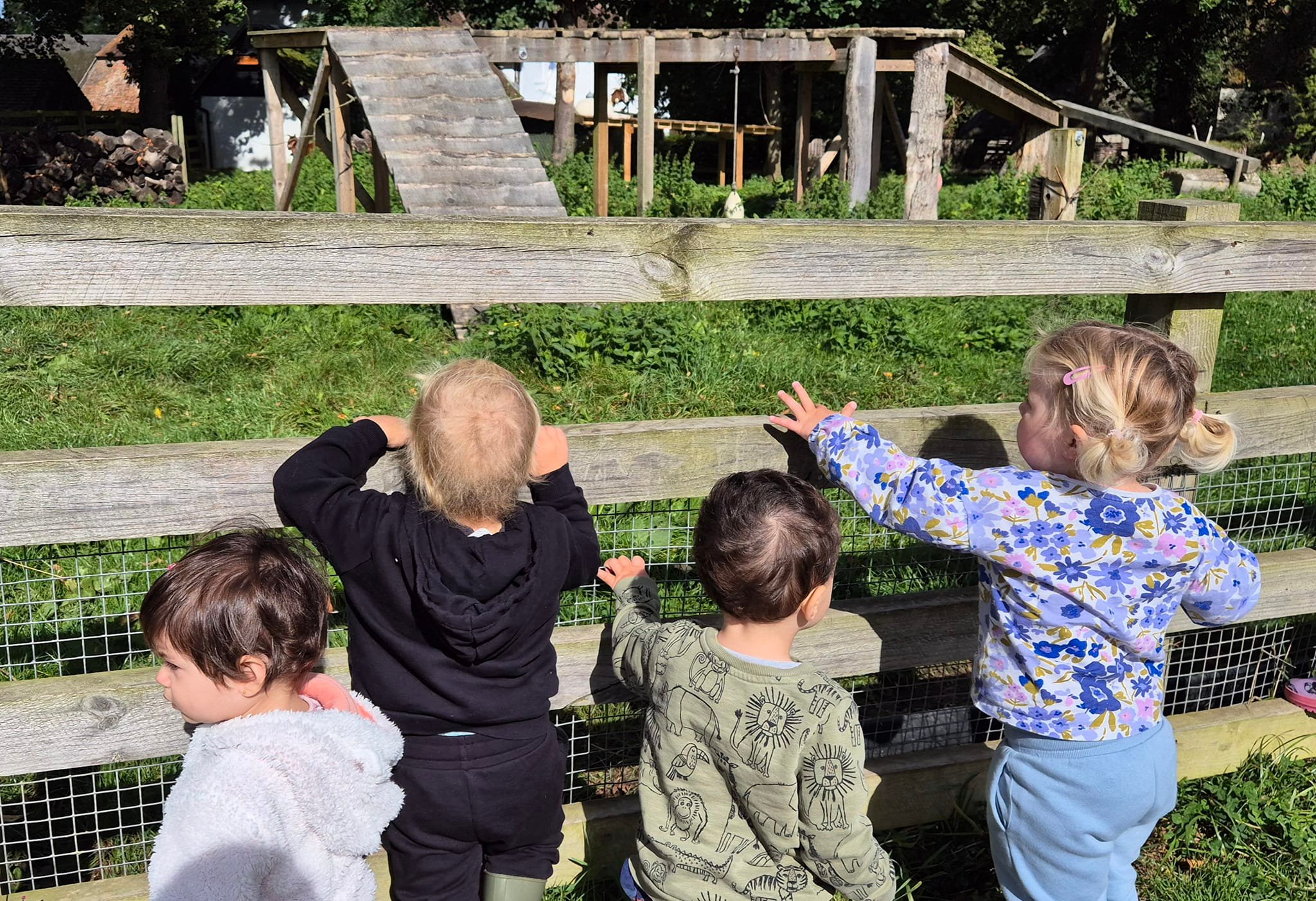 Romsey Rugrats