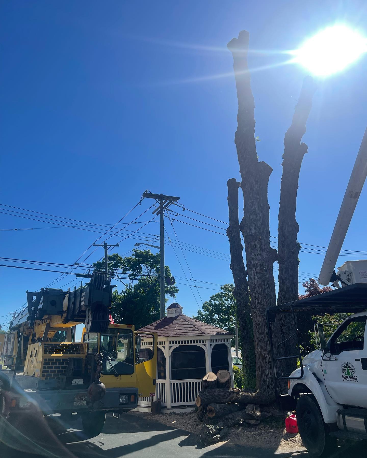 Pine Ridge Tree & Excavation CT | Naugatuck CT