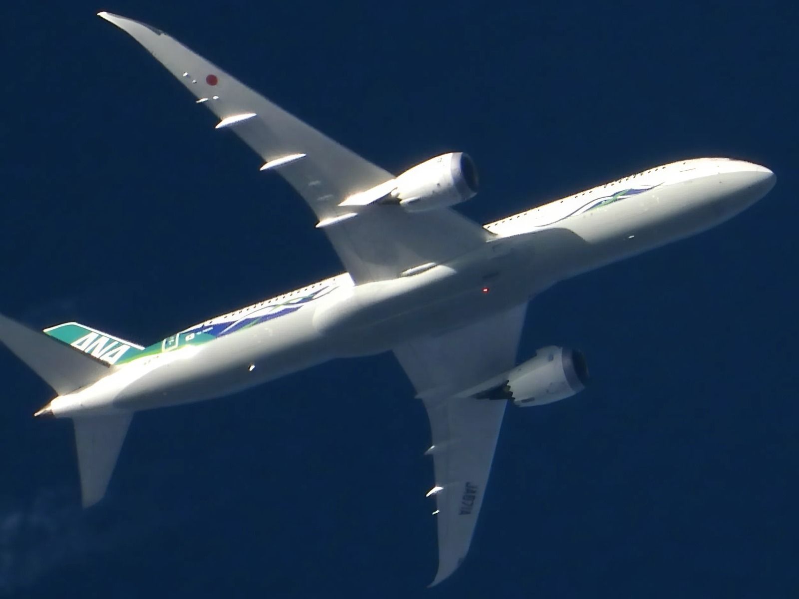 ANA Boeing 787-9 Dreamliner in 'ANA Future Promise' livery