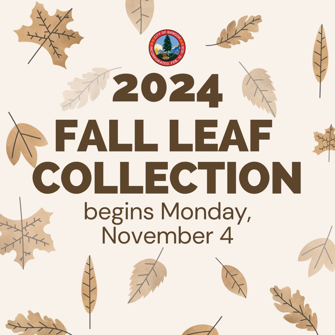 City - The City's annual Fall Leaf Collection begins Monday, Nov. 4. 🍃 ...