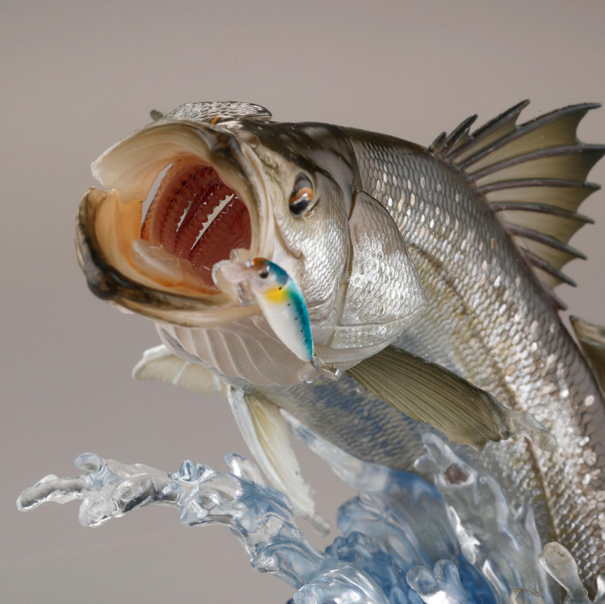 SHIMANO×海洋堂 鱸 障泥烏賊 桜鱒 大口黒鱒 動物立体図鑑 水生動物 SHIMANO×海洋堂 鱸 障泥烏賊 桜鱒 大口黒鱒 動物立体図鑑 水生動物