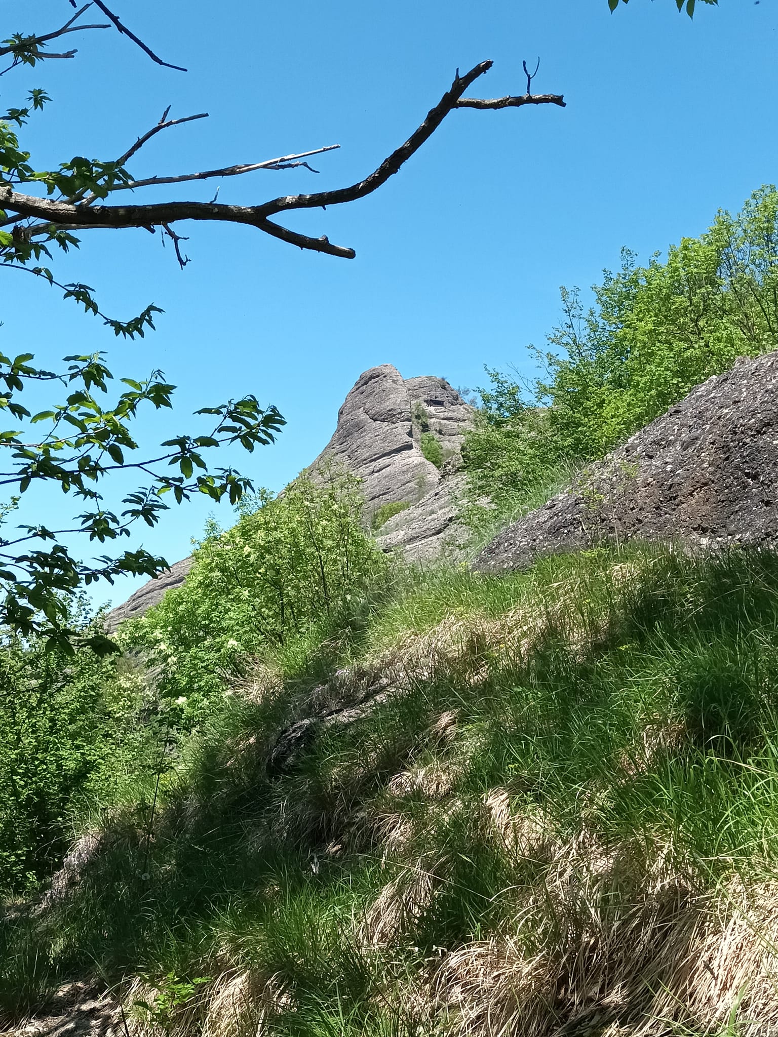 Ayas Trekking